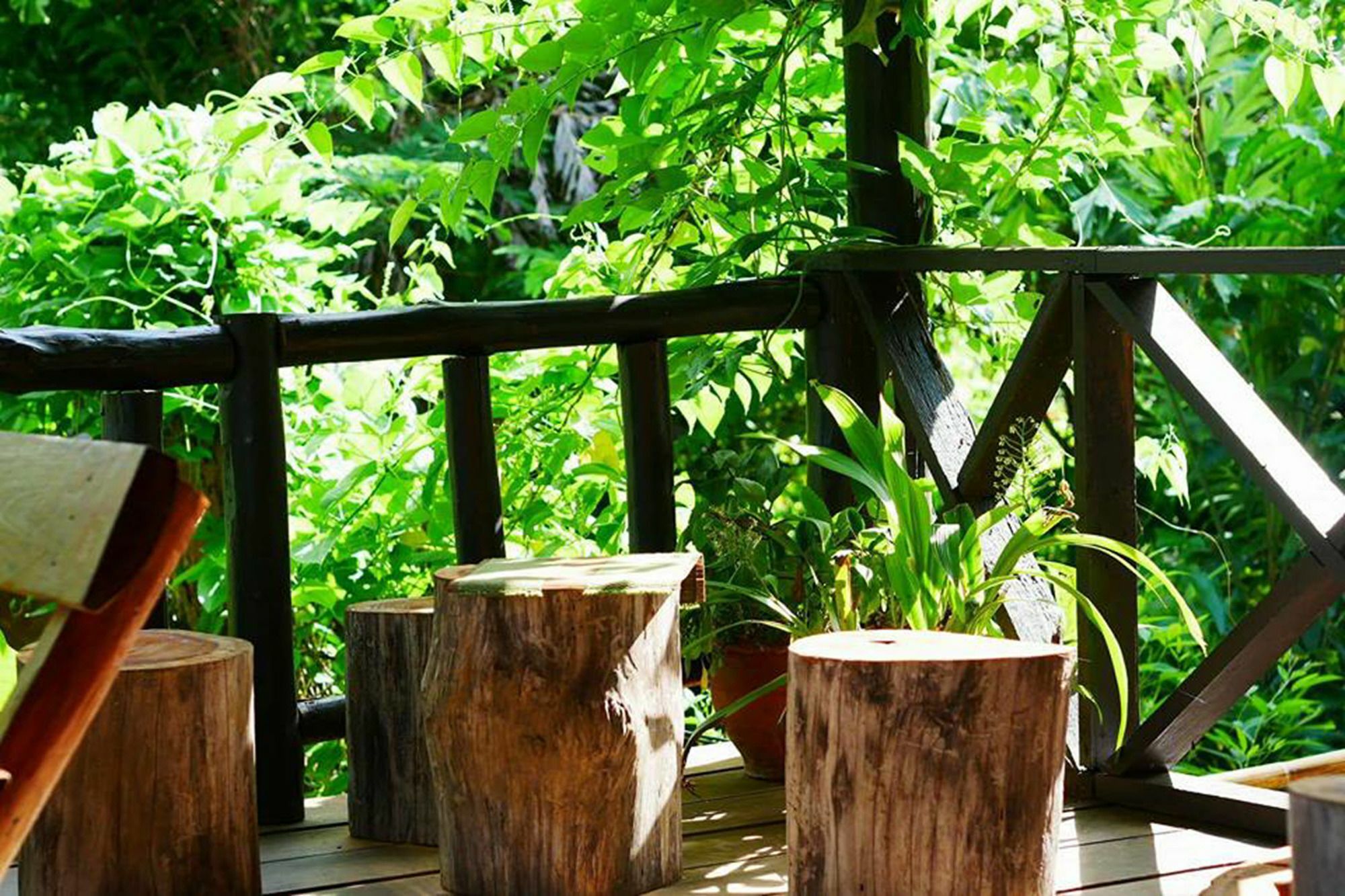 The Local Story Resort Ban Mon Talaeng Eksteriør billede